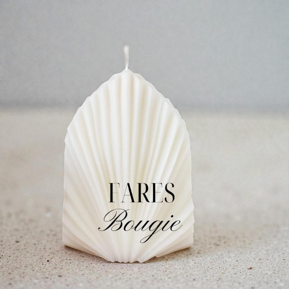 Bougie Palm